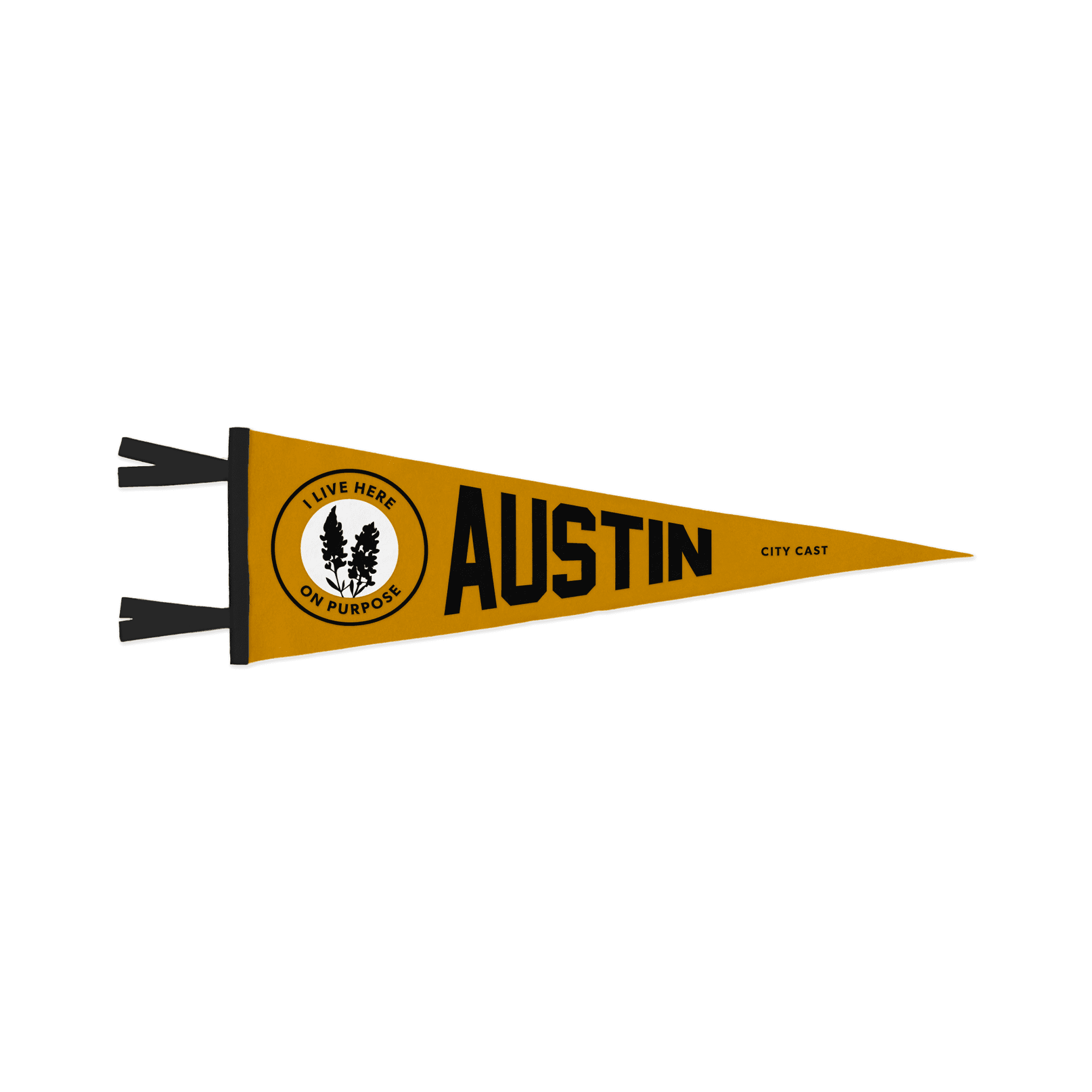 Product Austin Pennant card image